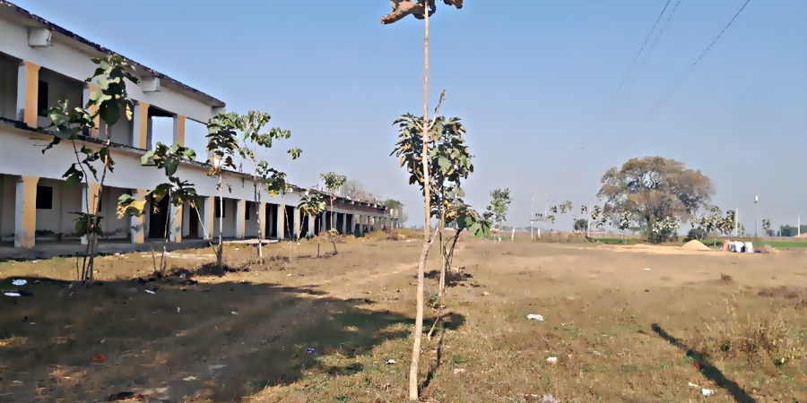 College Banner